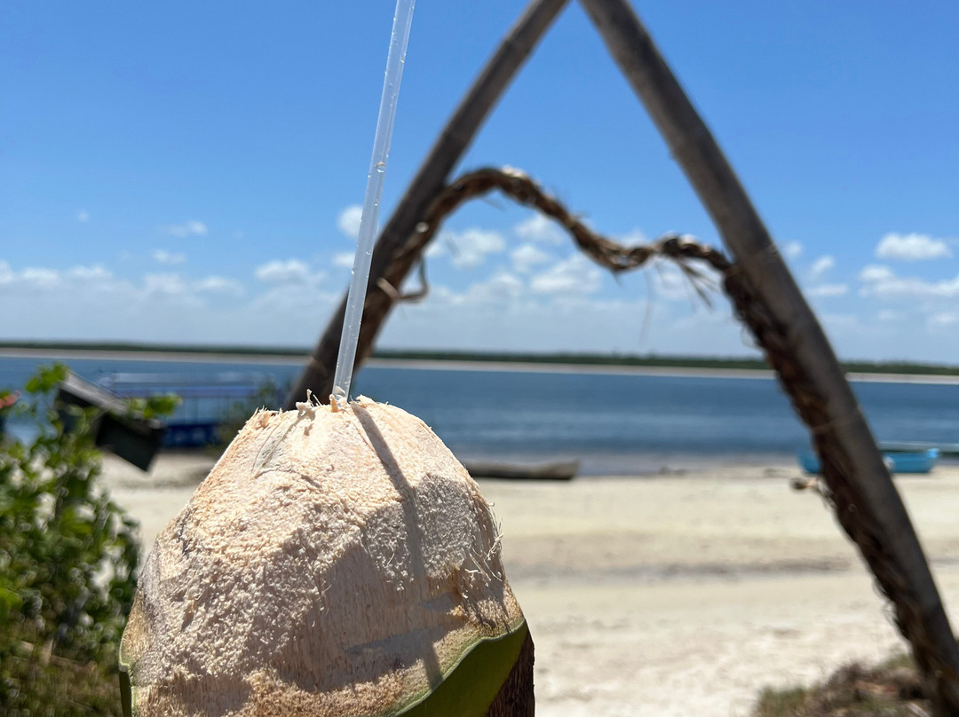 Safari Kenya roberto toba-瓦塔木必去景点