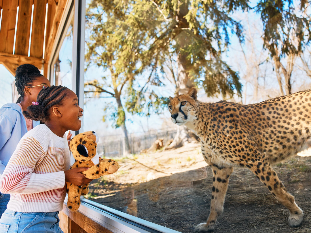 Oglebay Good Zoo-Wheeling必去景点