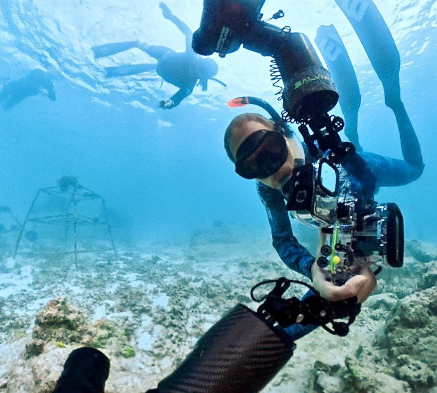 Blue Water Freediving School-伦敦必去景点