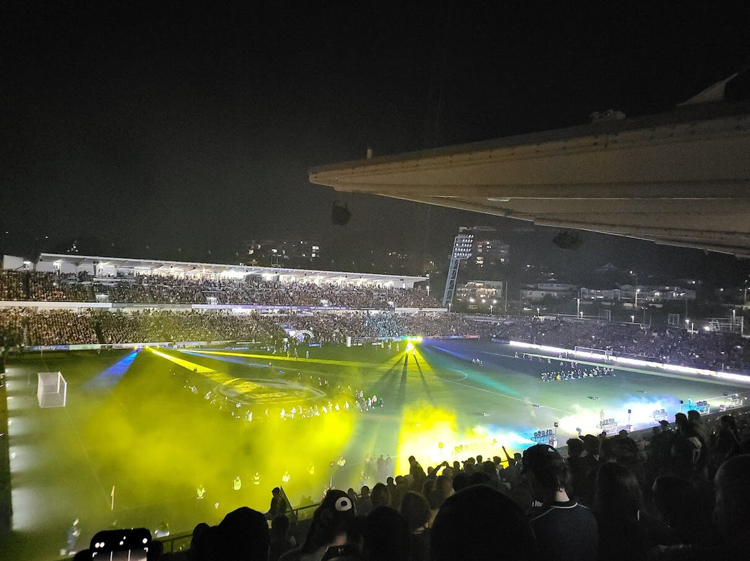 polytec stadium-戈斯福德必去景点