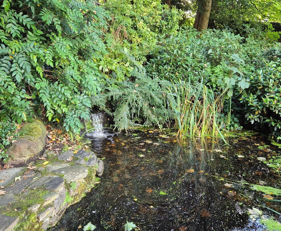 Old Gala House-Galashiels必去景点