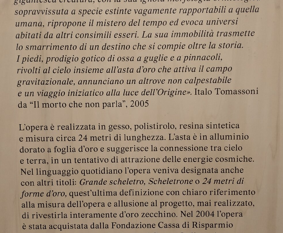 Calamita Cosmica - Centro Italiano Arte Contemporanea-福利尼奥必去景点