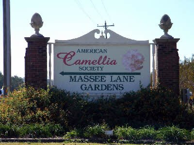 Massee Lane Gardens-Fort Valley必去景点