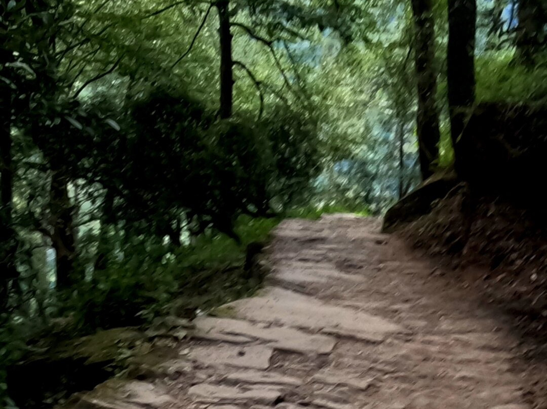 Shri Madmaheshwar Temple-Ukhimath必去景点