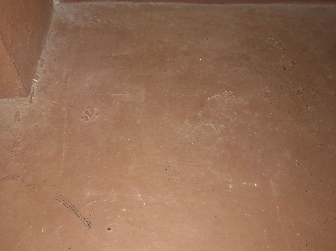 San Antonio Hotel主图