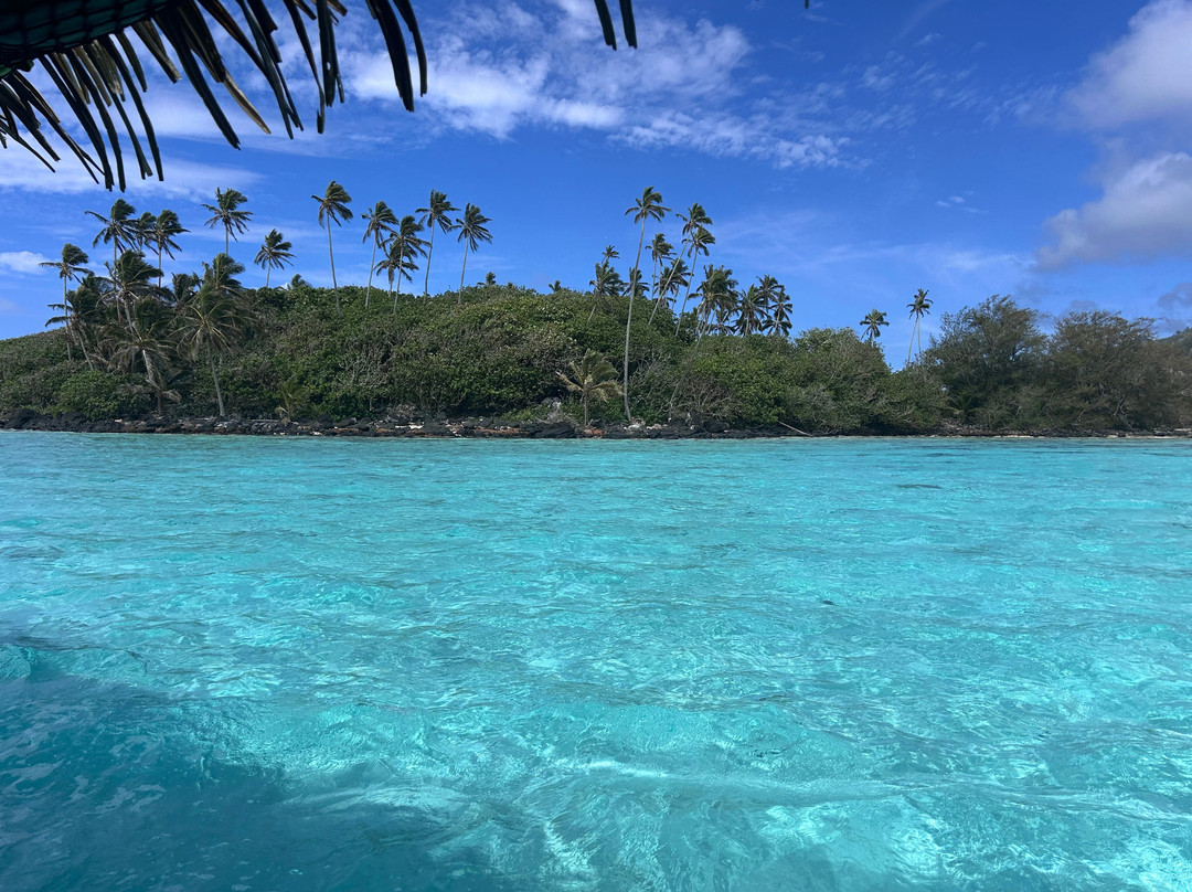 Koka Lagoon Cruises-穆里必去景点