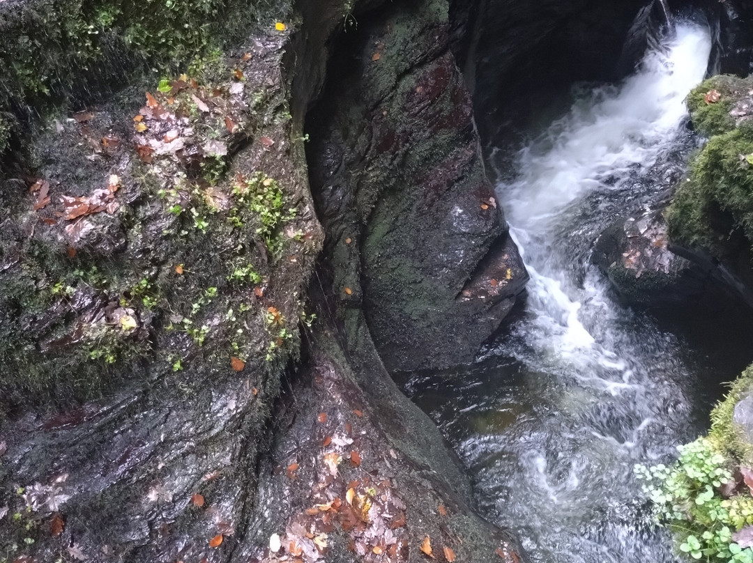Lydford Gorge-Lydford必去景点