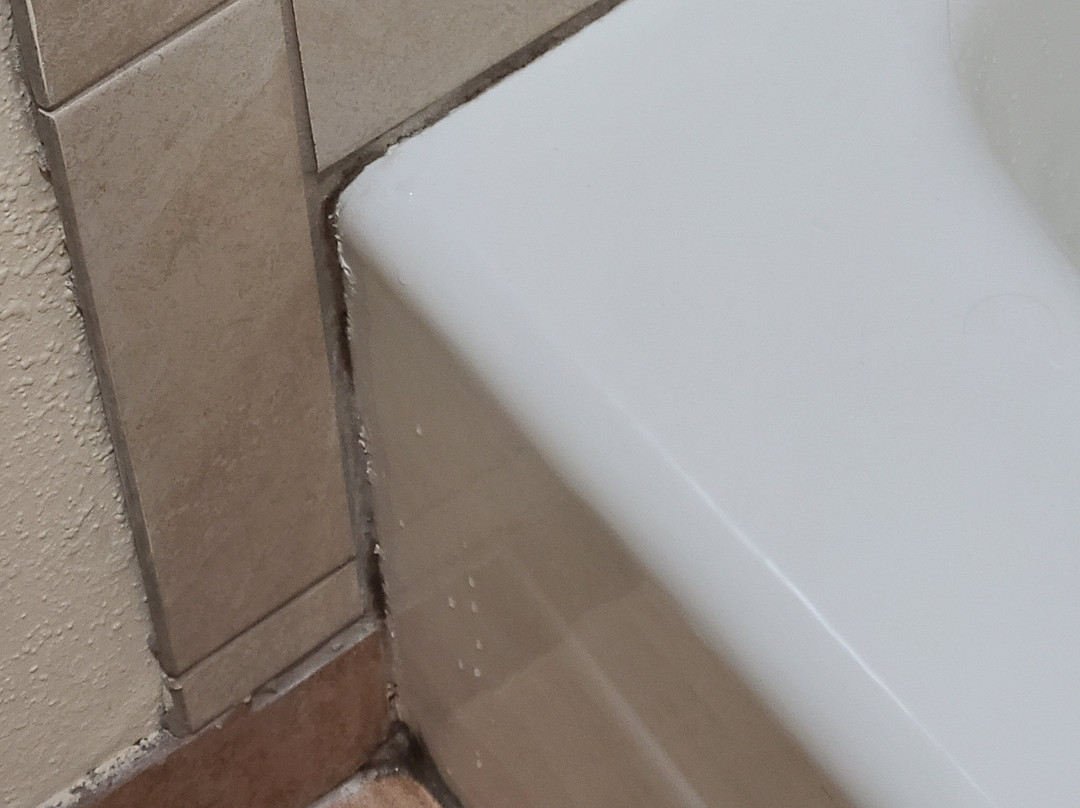 Best Western Plus Santee Inn主图