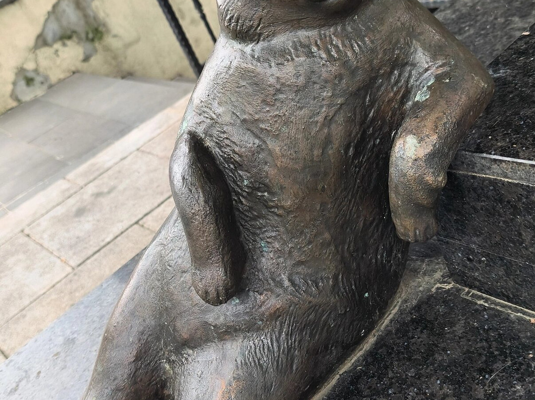 Monuemnt to the Cat Tombili-伊斯坦布尔必去景点