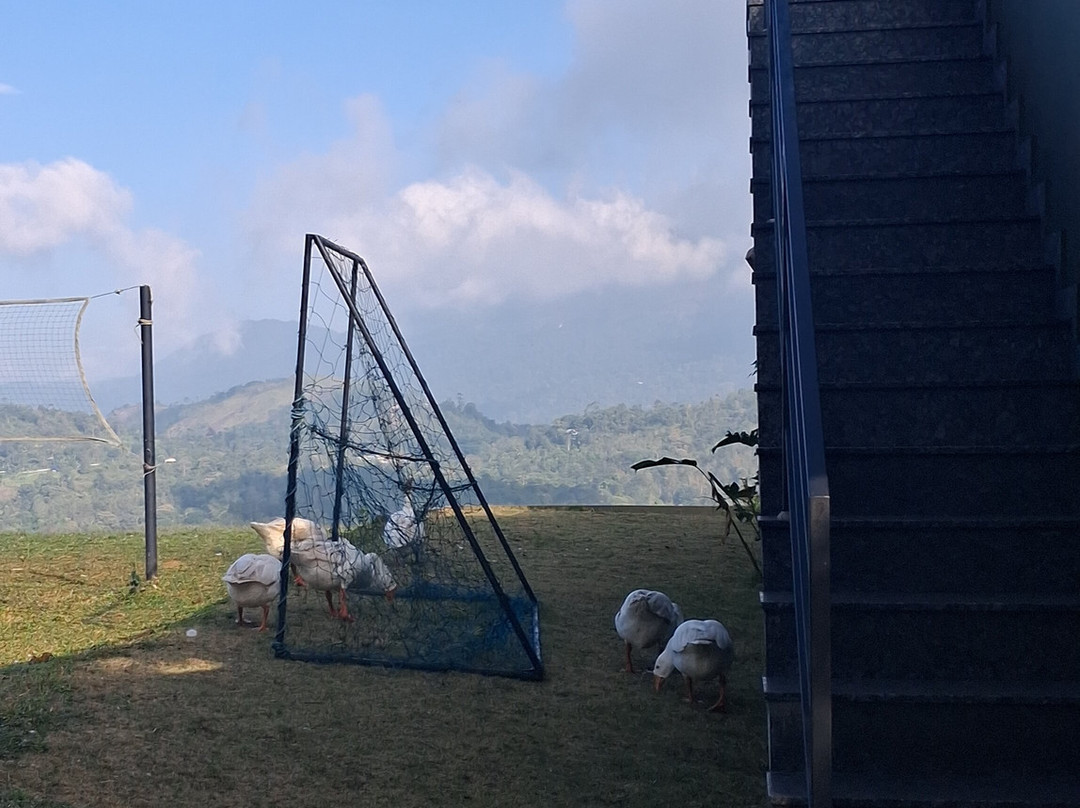 Haze And Kites Resort主图