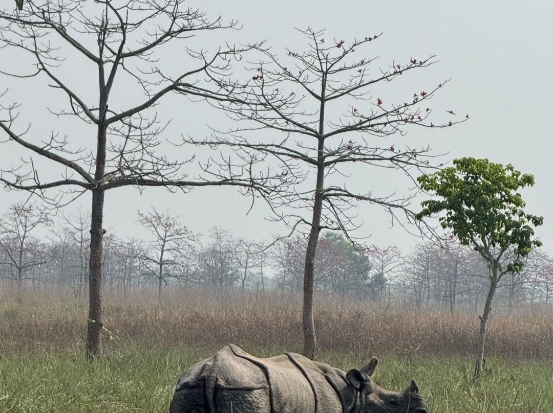 Jungle Expert Treks and Tours-Ratnanagar必去景点