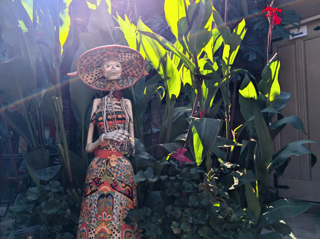 Hotel Casa Encantada主图