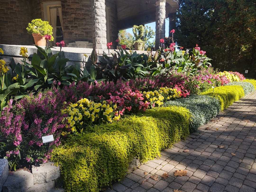 Heart Island-亚历山德里亚贝必去景点