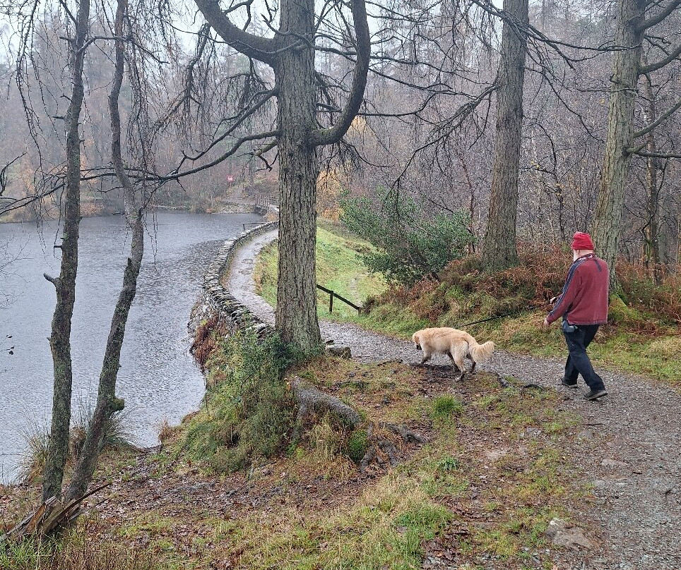 Low and High Dam, Finsthwaite-Ulverston必去景点