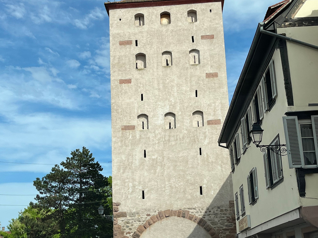 Tour des Sorcieres-塞勒斯塔必去景点