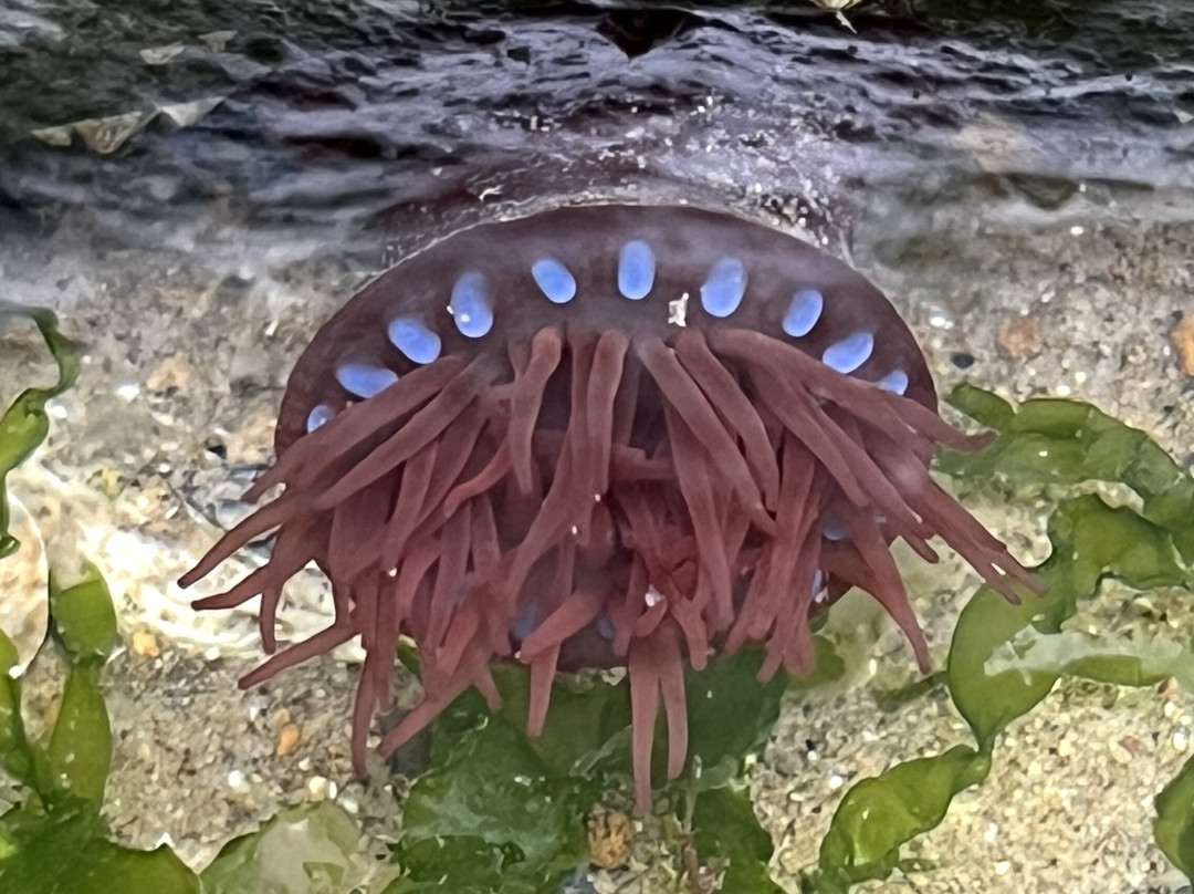 Tywyn Beach-Tywyn必去景点