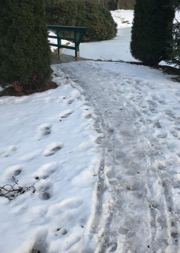 Paul-Schindel Park-Bad Elster必去景点