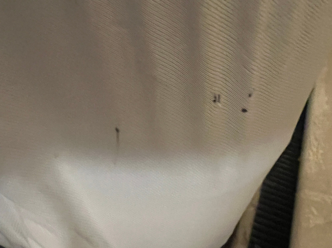 Twin Oaks Motel主图