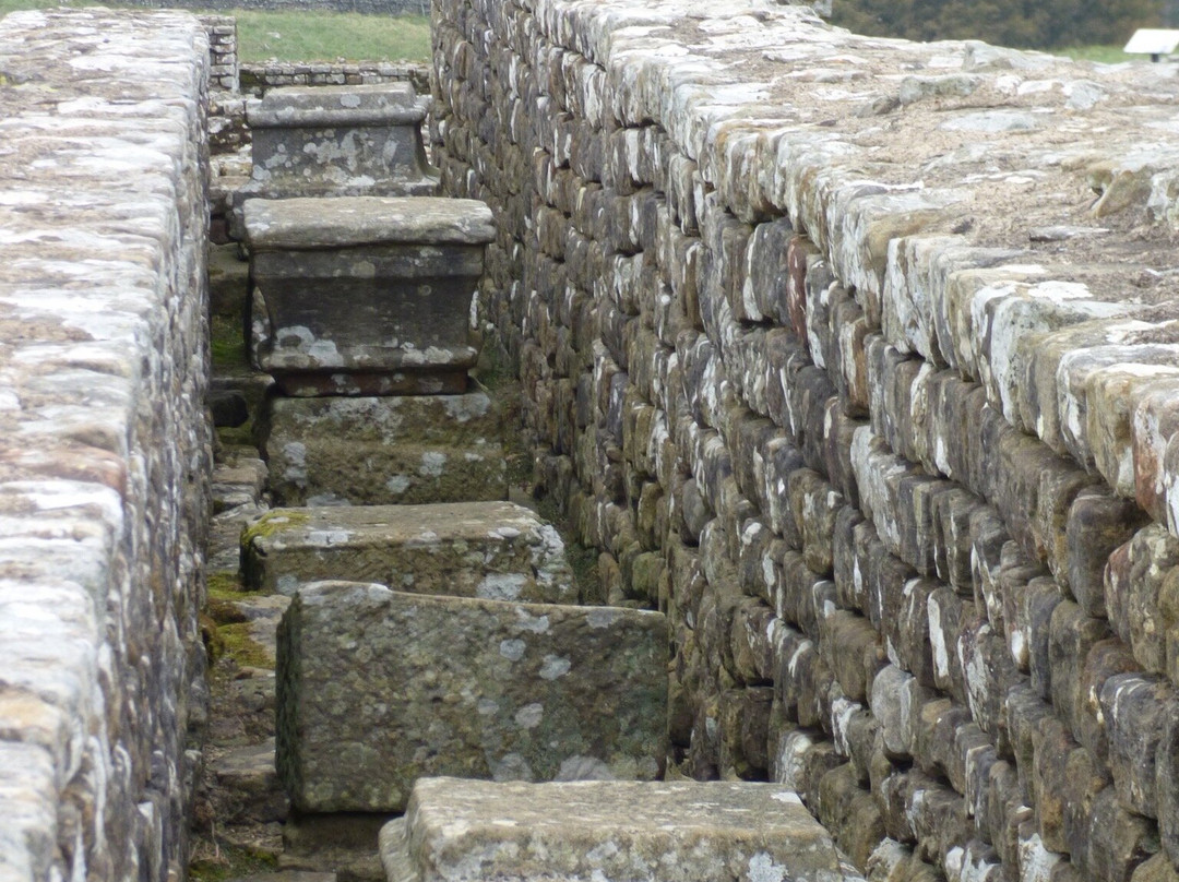 Housesteads Roman Fort - Hadrian's Wall-Haydon Bridge必去景点