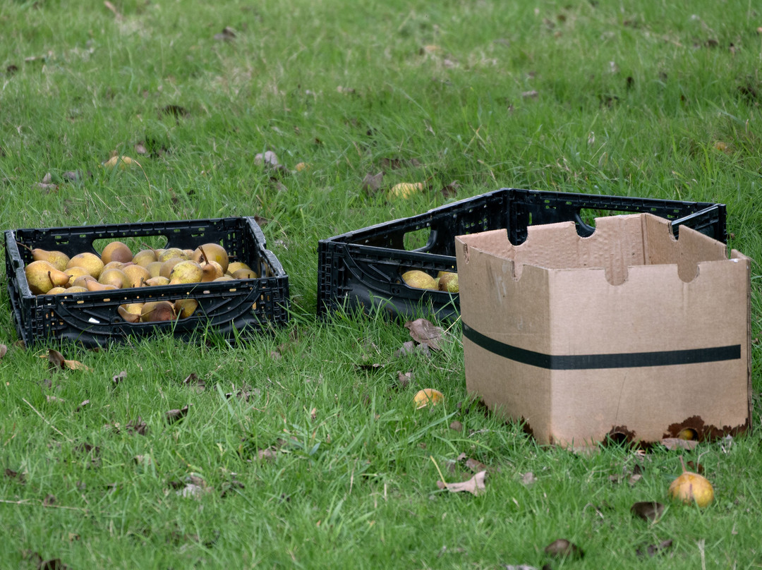 La Chevre Rit-格兰维尔必去景点