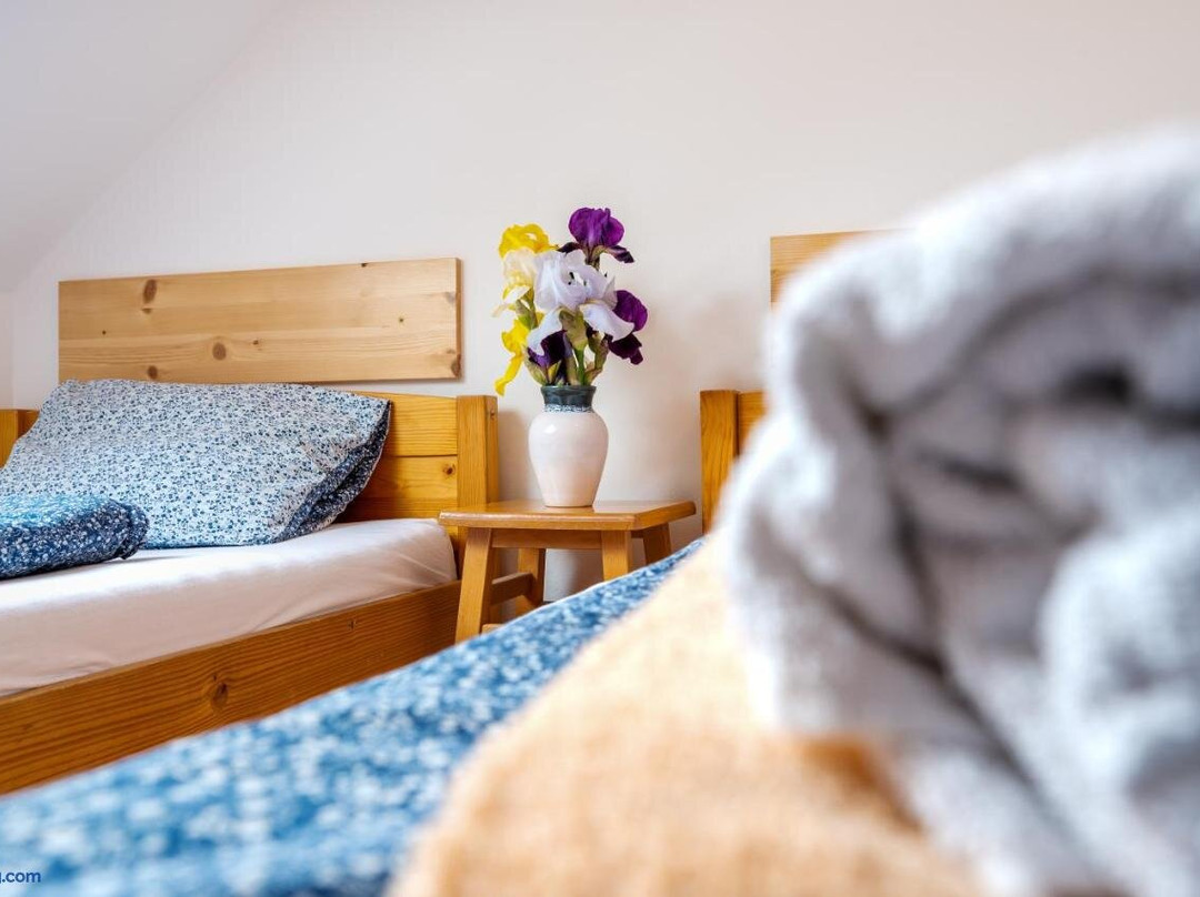 Penzion U Kostela主图