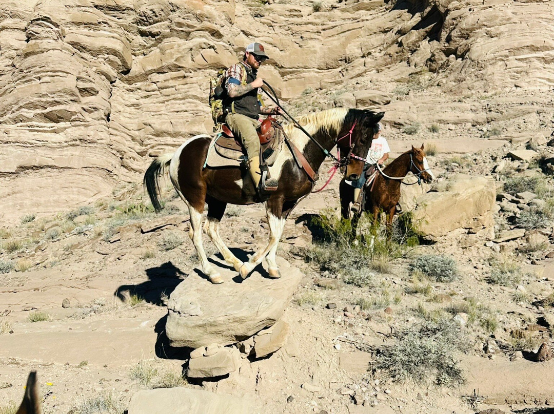 Acacia Riding Adventures-San Acacia必去景点