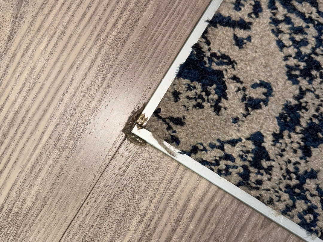 Four Points by Sheraton Ontario-Rancho Cucamonga主图