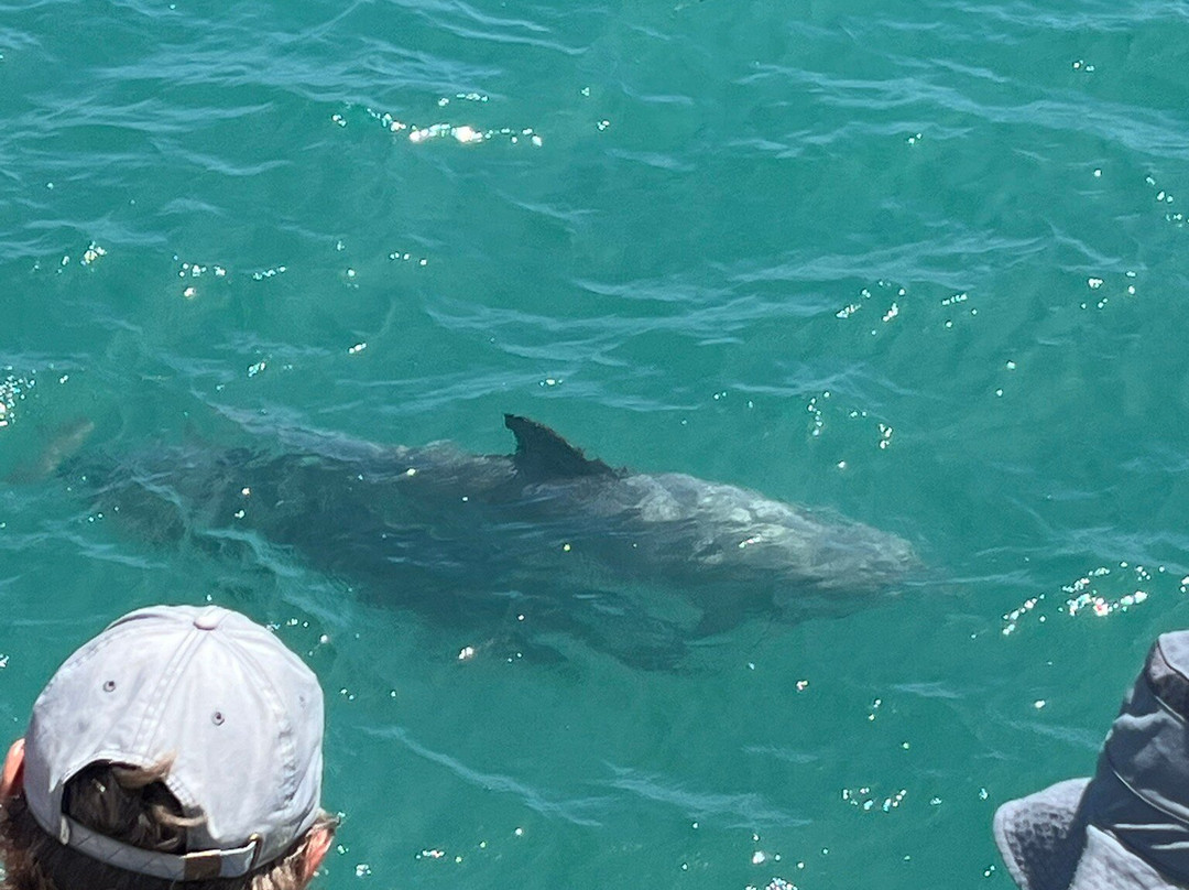 Ocean Park Aquarium-德纳姆必去景点