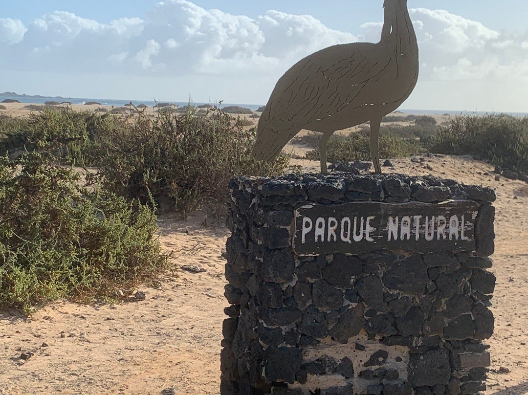 Dunas De Corrallejo-科拉雷侯必去景点