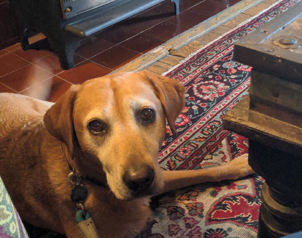 Mabie House Hotel主图