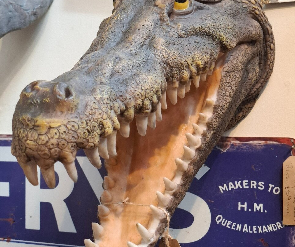 The Rutland Antiques Centre-贝克韦尔必去景点