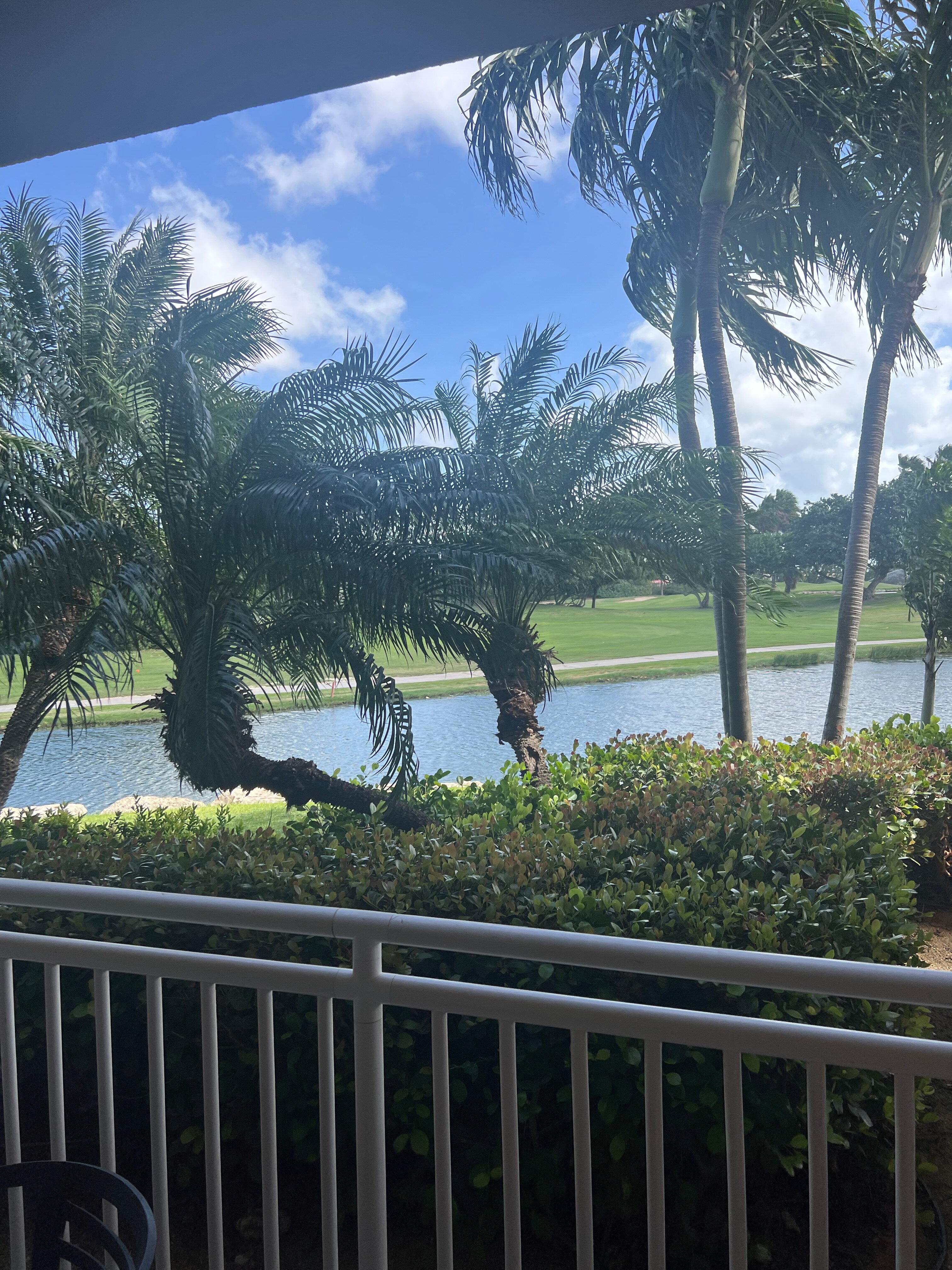 迪威村高尔夫和海滩度假酒店-官方