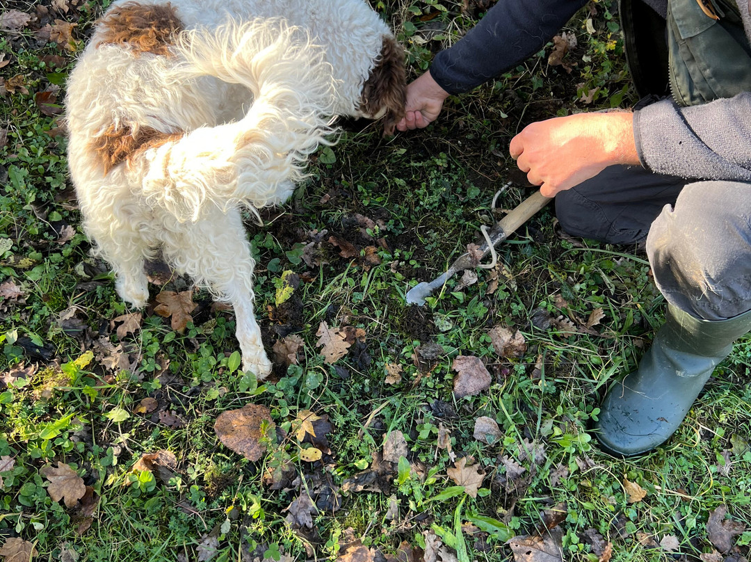 Truffle in Tuscany-圣米尼亚托必去景点