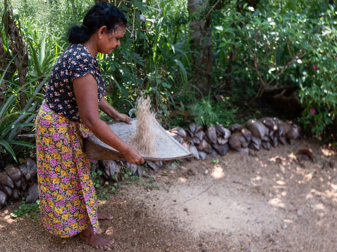 Harrysuni Tours-尼甘布必去景点