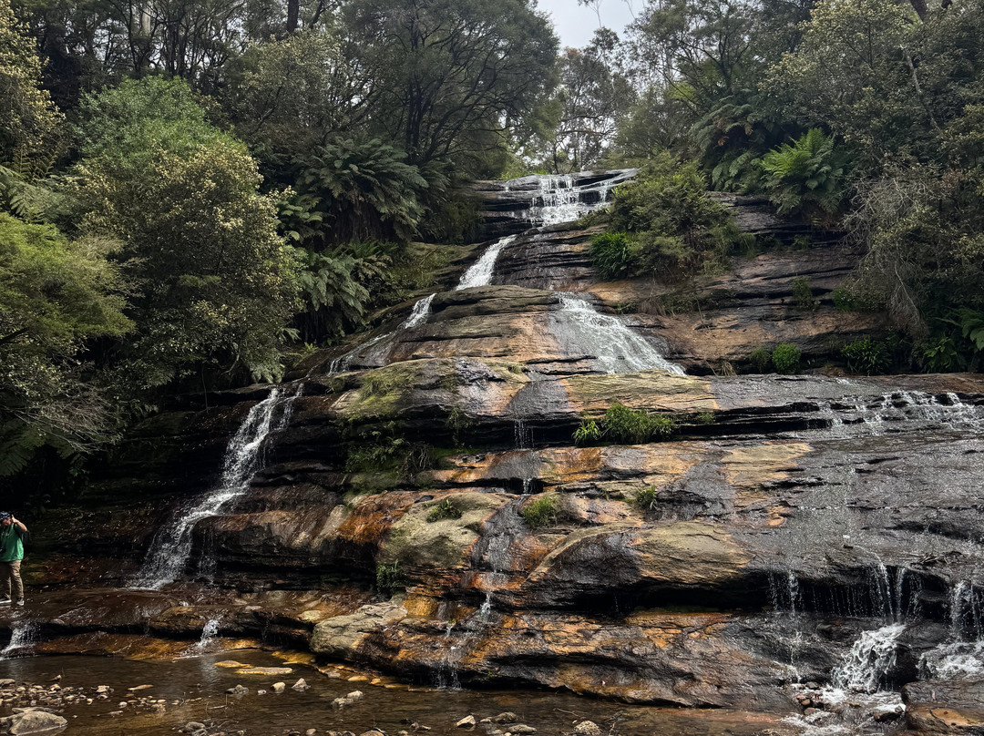 Blue Mountains Tours-格兰布鲁克必去景点
