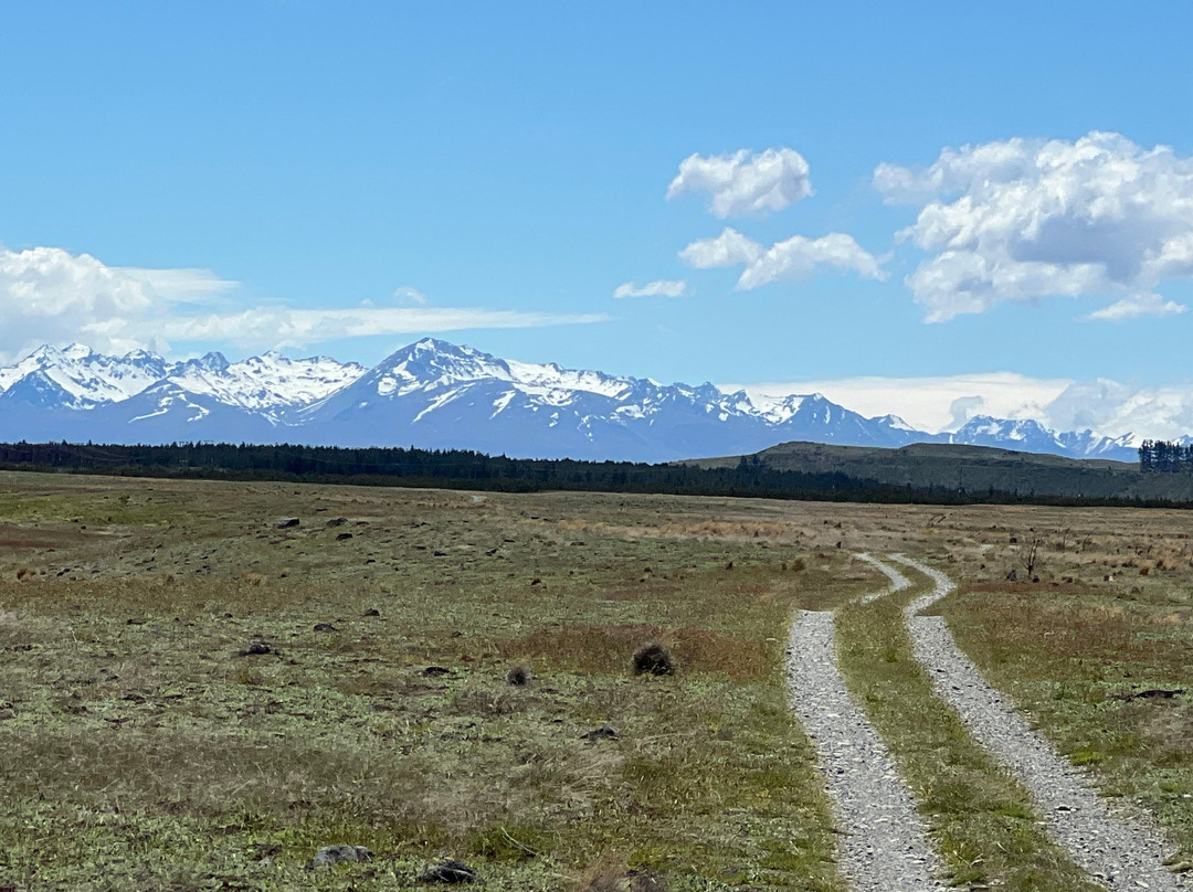 Cycle Journeys Twizel-特威泽尔必去景点