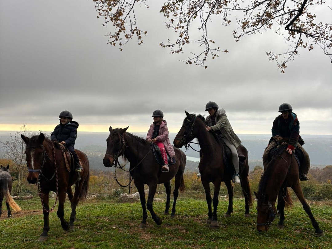 Ranch Marconi-拉宾必去景点
