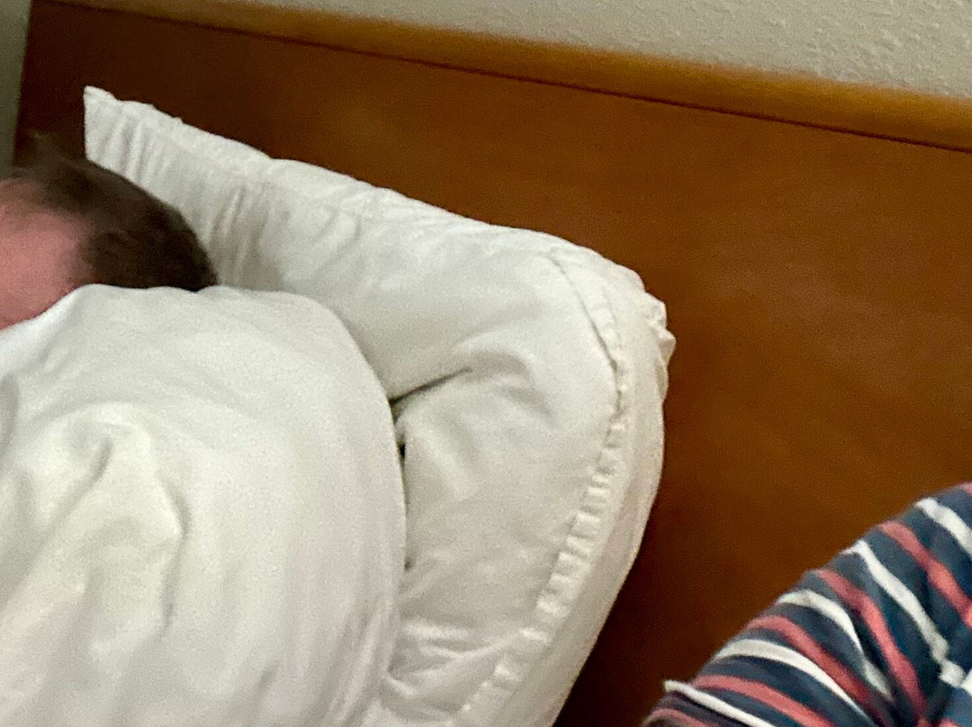 Fairfield by Marriott Inn & Suites Cordele主图