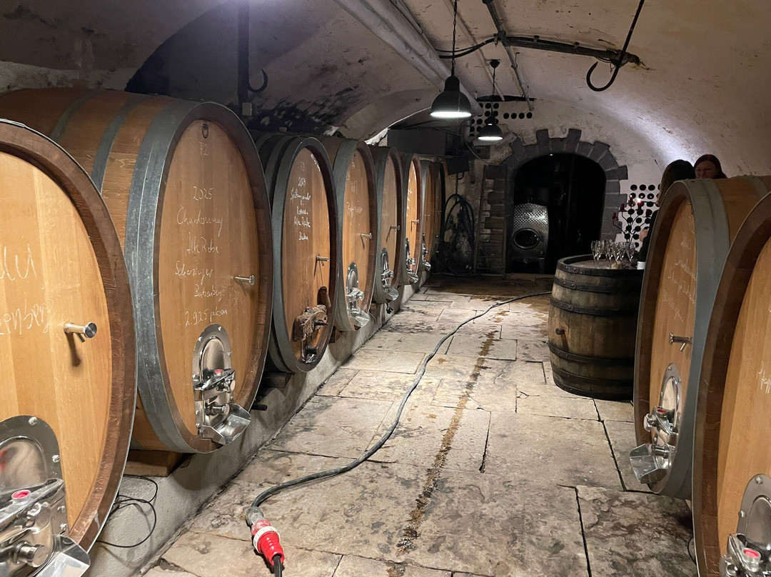 Weingut Heinemann Inh.-Schallstadt必去景点