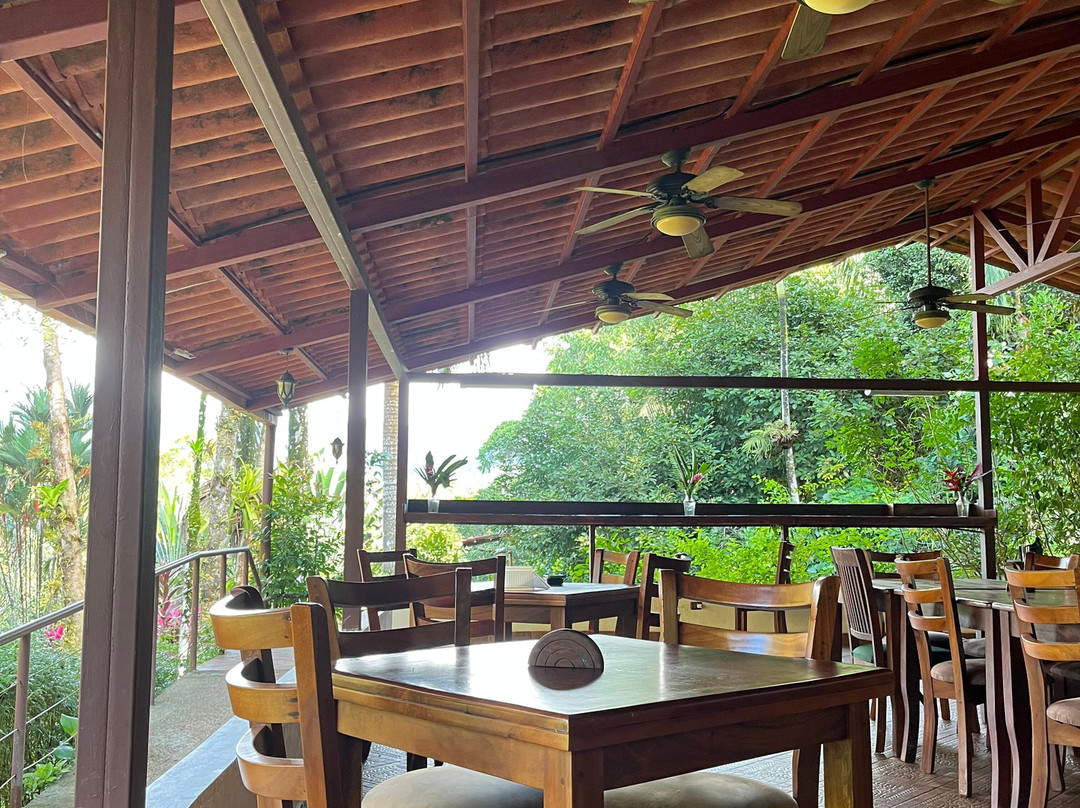 Kids Saving the Rainforest-克波斯必去景点