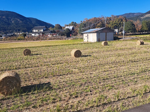 Ebisuya Yufuin-由布市必去景点