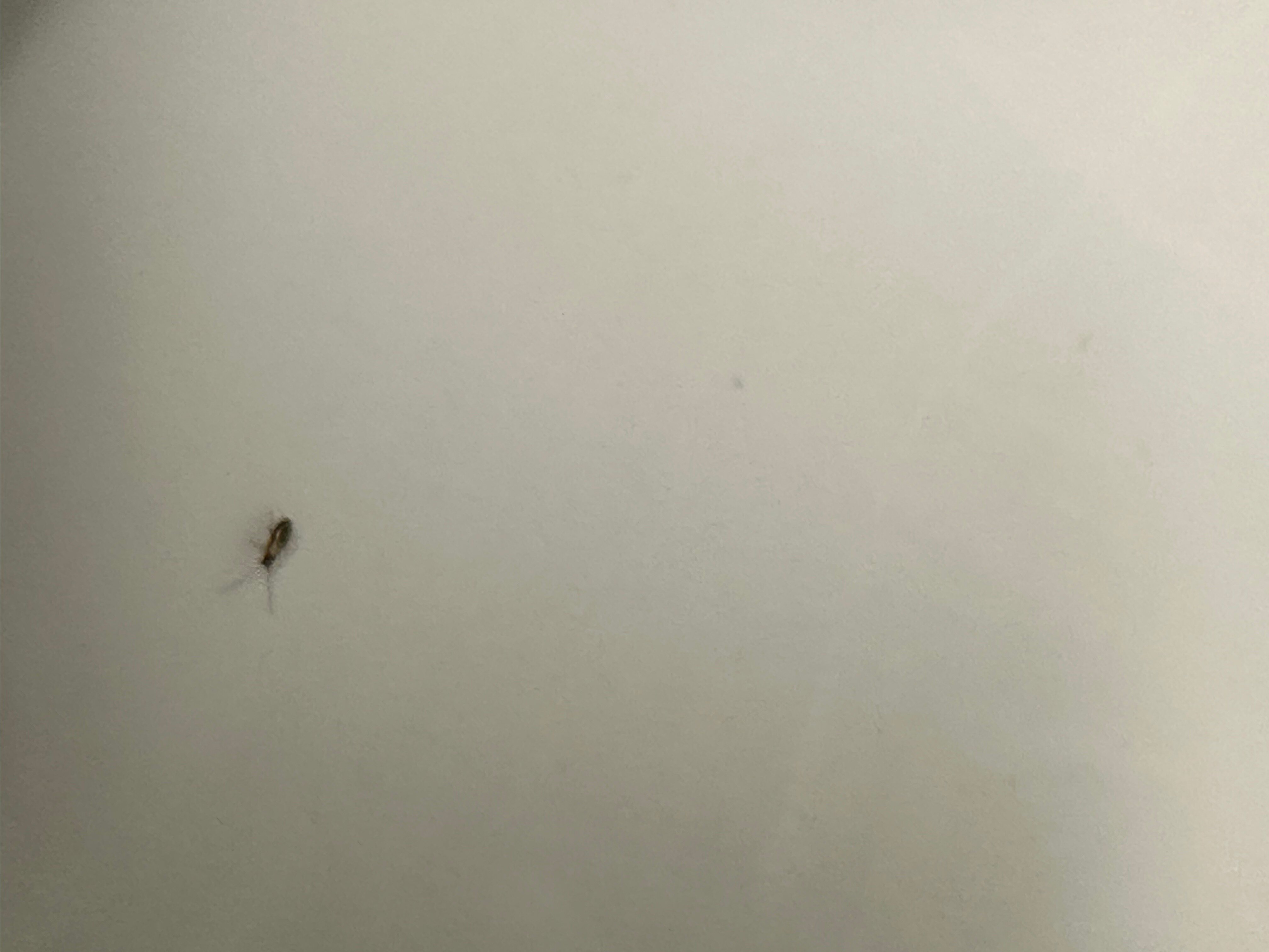 Hampton Inn & Suites Mt. Juliet-浴室