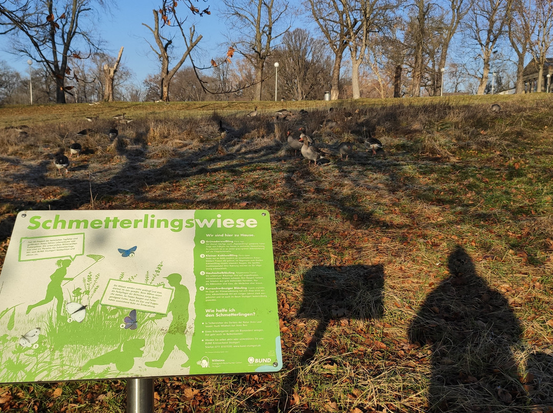 Schlossgarten-斯图加特必去景点
