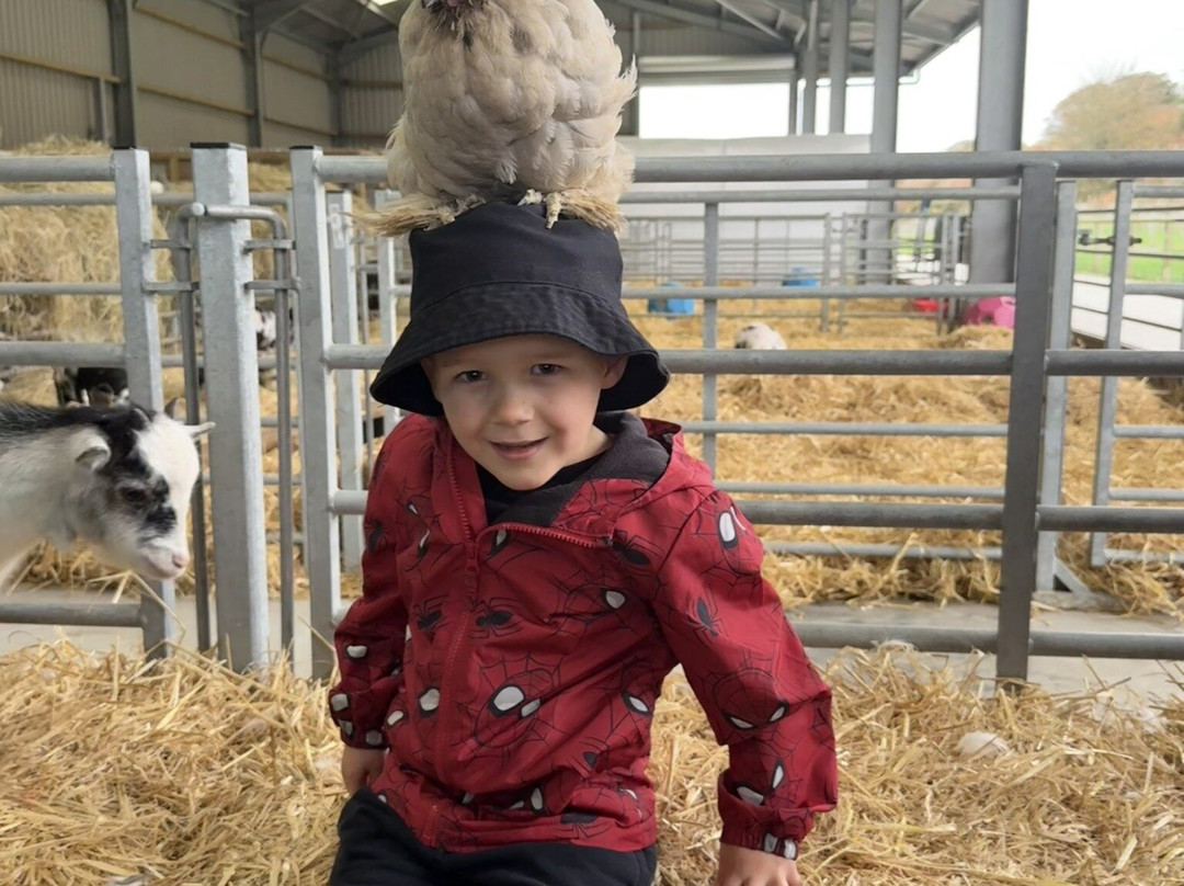 Farm Stop-Portlethen必去景点