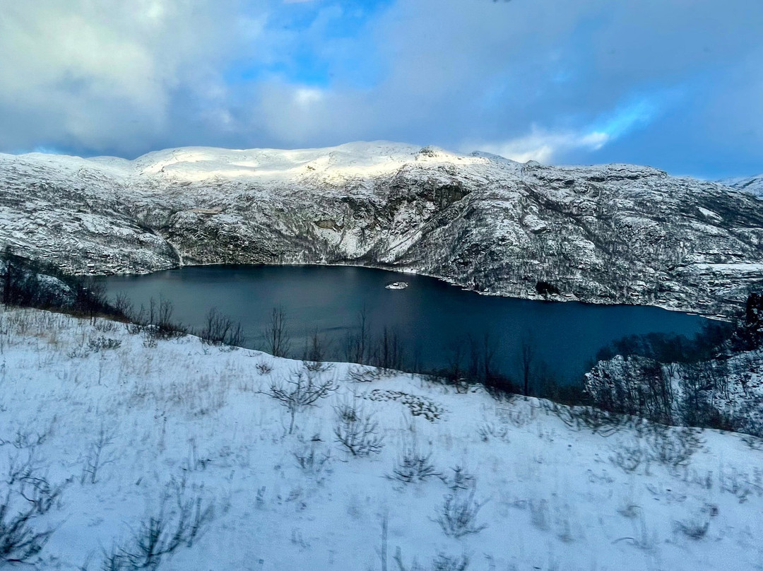 Myrdal Station-米达尔必去景点