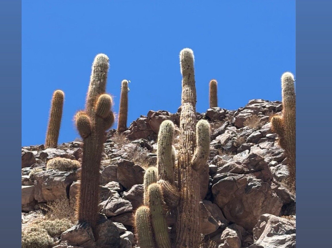 Expediciones Chilla-圣佩德罗-德阿塔卡马必去景点