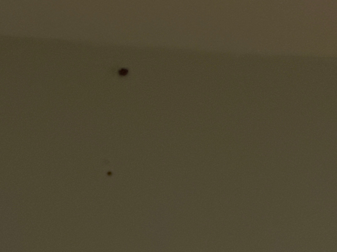 Tru by Hilton Greensboro Lake Oconee主图