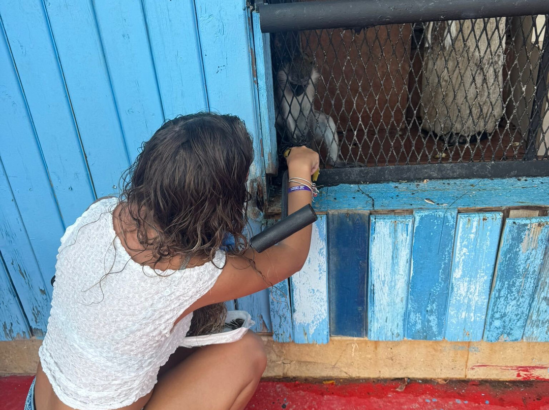 Dolphina Park-沙姆沙伊赫必去景点