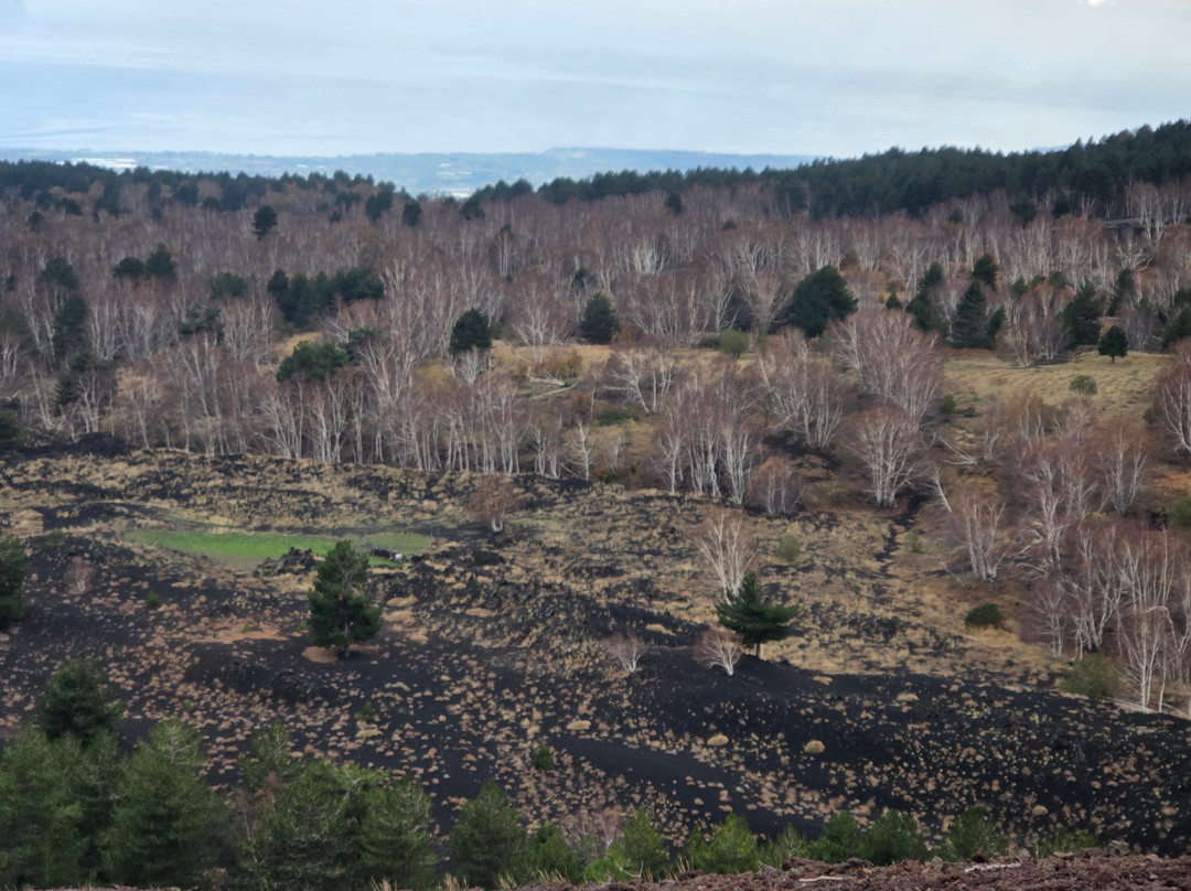 Go-Etna-卡塔尼亚必去景点