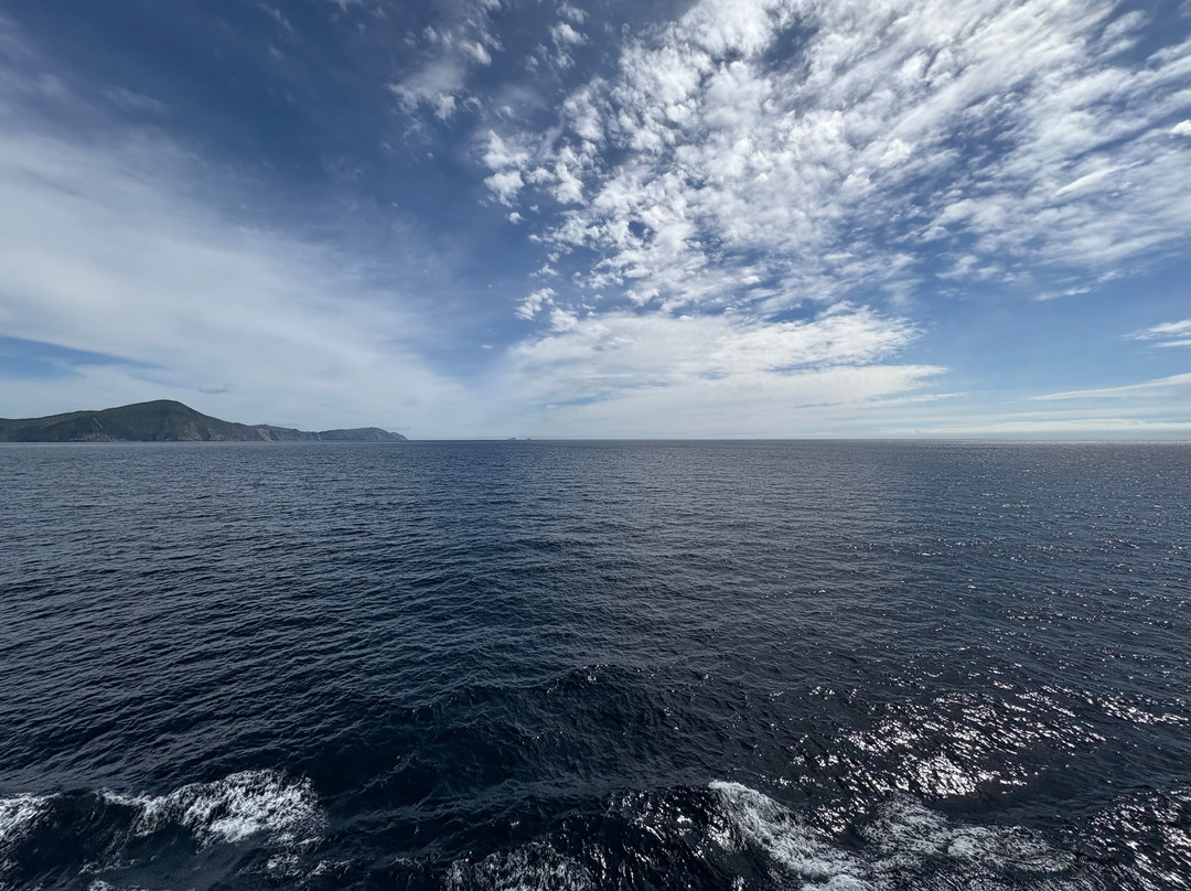 Interislander-皮克顿必去景点